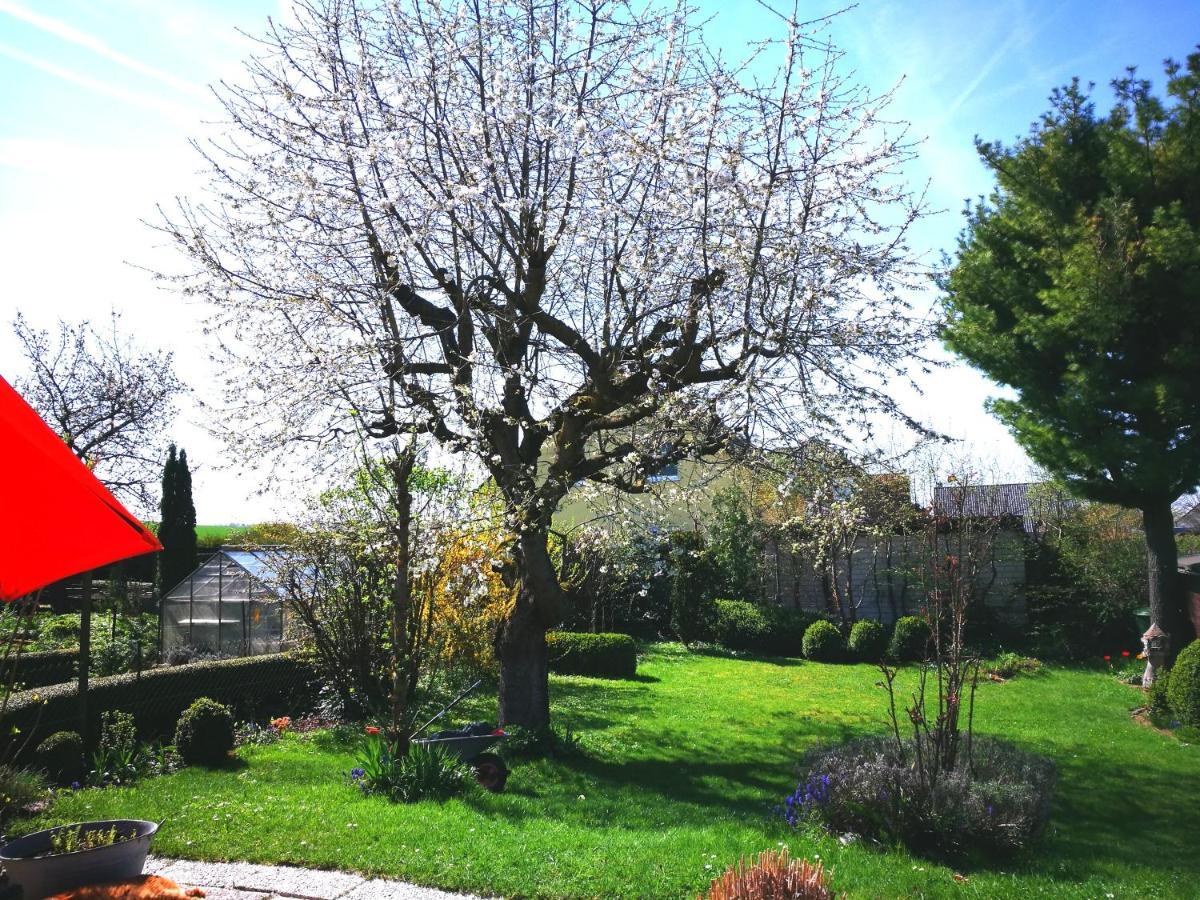 Ferienwohnung Varmissen Nah Bei Goettingen Dransfeld 외부 사진